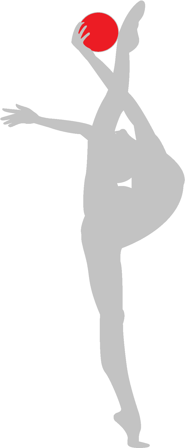 silhouette de rubrique